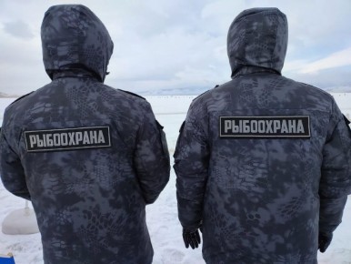 Камчатские рыбоохранители за неделю поймали больше сотни браконьеров