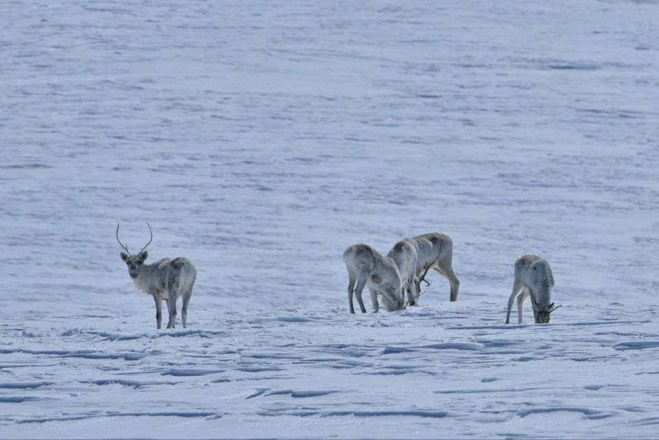 ��������� ���������� ������ ������ ������������� ������ ����� �����������