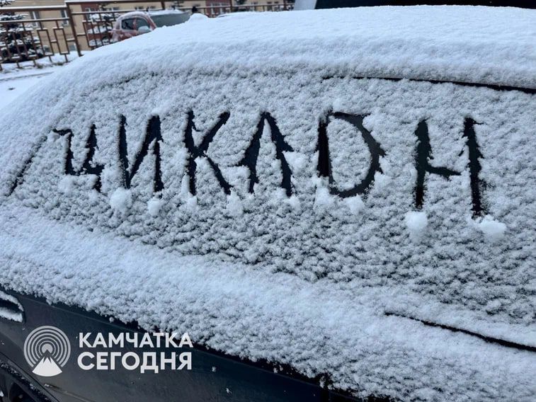 ���������� � ������� ������ � ��������� �������������