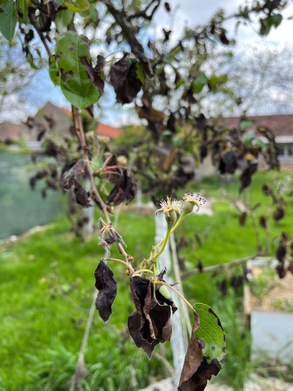 ��� ������ ������� ����� �� �������������� �����