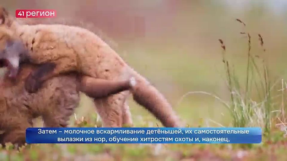 ������� � ����� ������ ������!