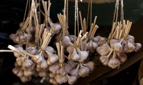 Эффективные советы по хранению лука и чеснока до весны