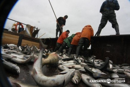 ������� ����� ���� ���� ��������� � 2025 ���� �� ���������� �����