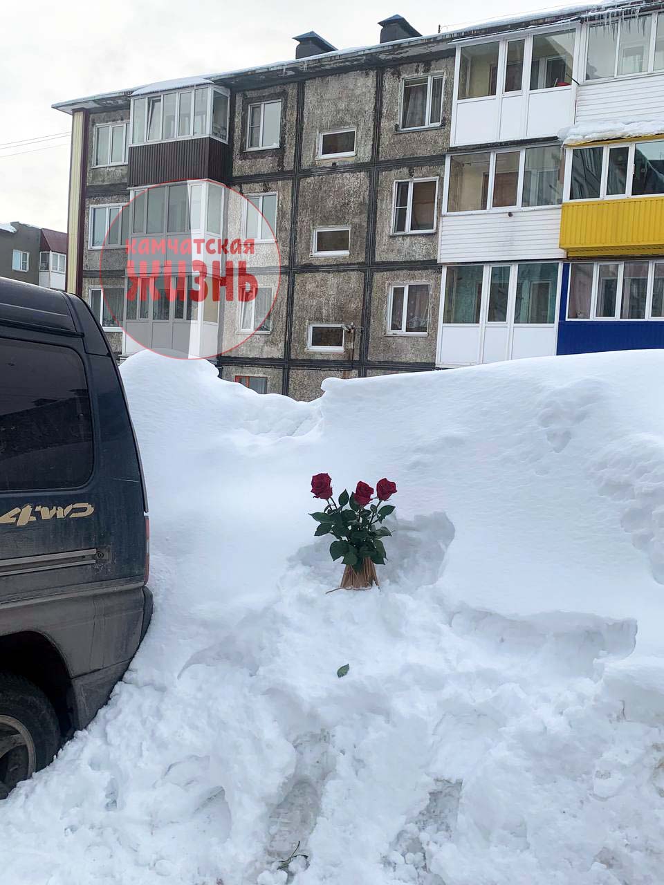 В снегу, на месте где накануне погибла девочка, появились живые цветы