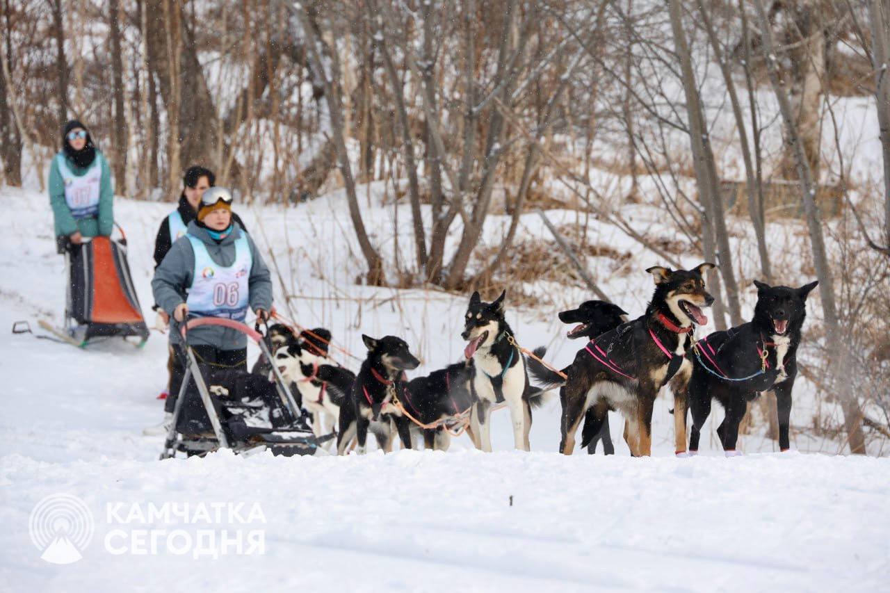 Камчатка зовёт на «Елизовский спринт» Камчатка зовёт на «Елизовский спринт»