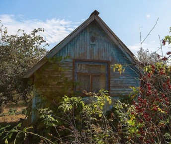 � 2028 ���� ���������������� ����� ����� ���������