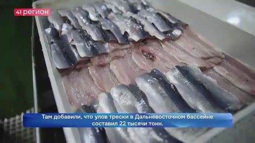 ��������������� �������� ������ � ������������� ������ �������� �������