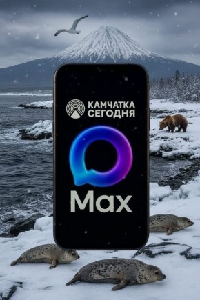 Подписывайтесь на наш канал в MAX, чтобы оперативно получать все новости «Камчатки Сегодня»