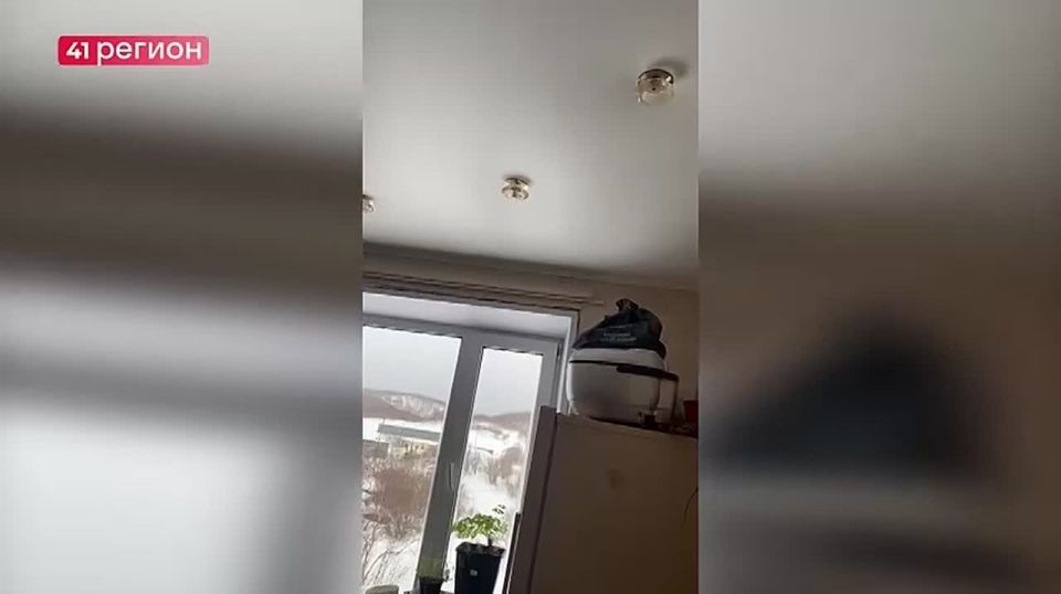 ������ ���� 24� �� ����� ����� �������� ��������� ���������� � ����� ��������