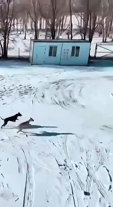 � � ��� ������� ������ ����� �������