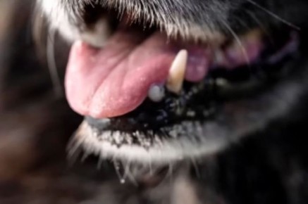 ������� ����� � ����� � ���������: ��������� �������� 200 ����� �������, ����������� ����