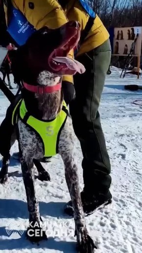 � ������ ���� ���� ����� �����������-����������� ��������� ����������� ������ � 2026�