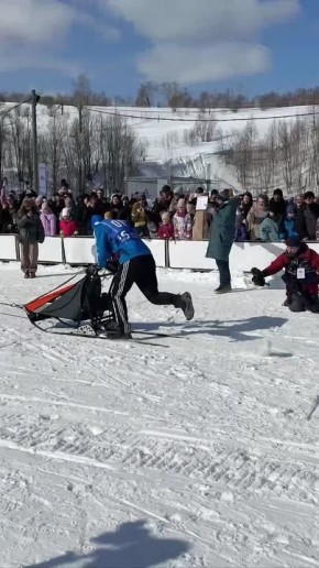 Гонка на собачьих упряжках «Елизовский спринт» стартовала!