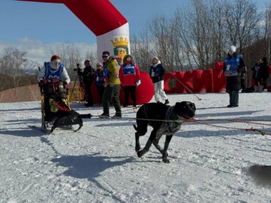 Стали известны победители «Елизовского спринта»
