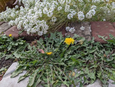 ������� ����� ��������: ��� ������� �������� ��� � ����������� ������