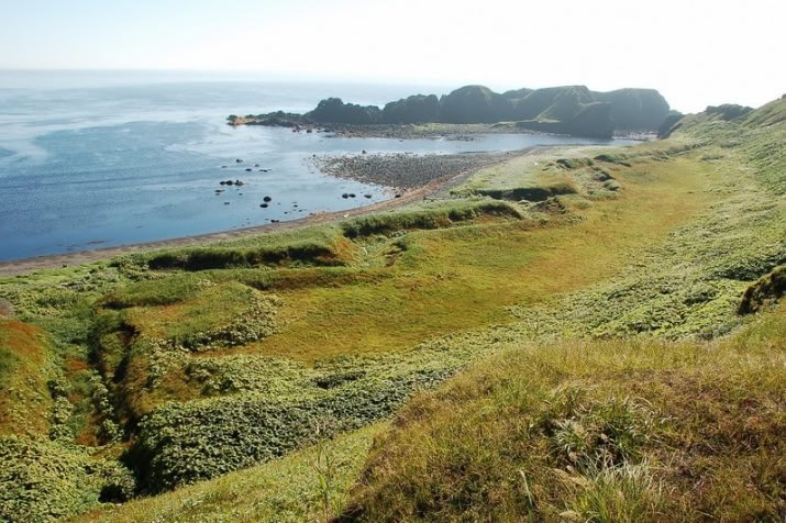 Увидеть Шумшу своими глазами