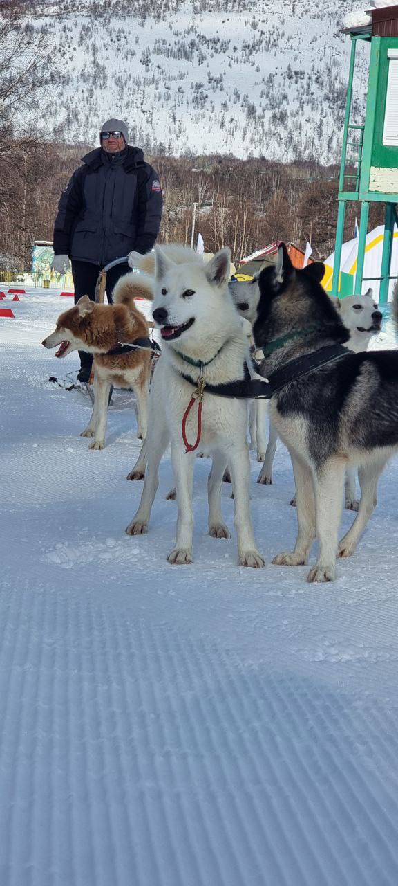 Праздник «Берингии2026» в Эссо Праздник «Берингии2026» в Эссо