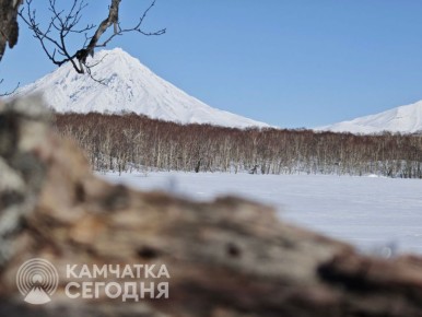 15 ощущаемых землетрясений за неделю: Камчатку продолжает трясти