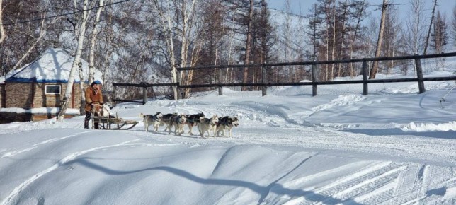 �������� ���������2026� � ����