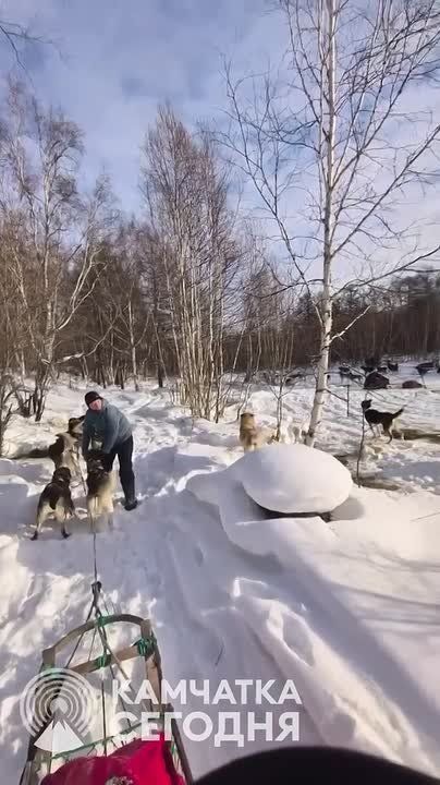 ��������: ���������. �������� ������� �����, � � ��������� ���������� �� ��������� ����� ������ ������������ �������������� ����� ���������2026� �������� ���������