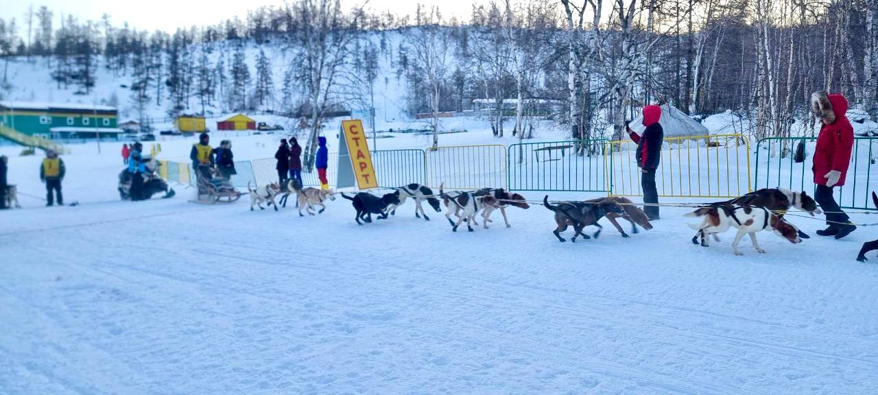 Старт легенды: в Эссо дан старт 36-й гонке «Берингия» Старт легенды: в Эссо дан старт 36-й гонке «Берингия»