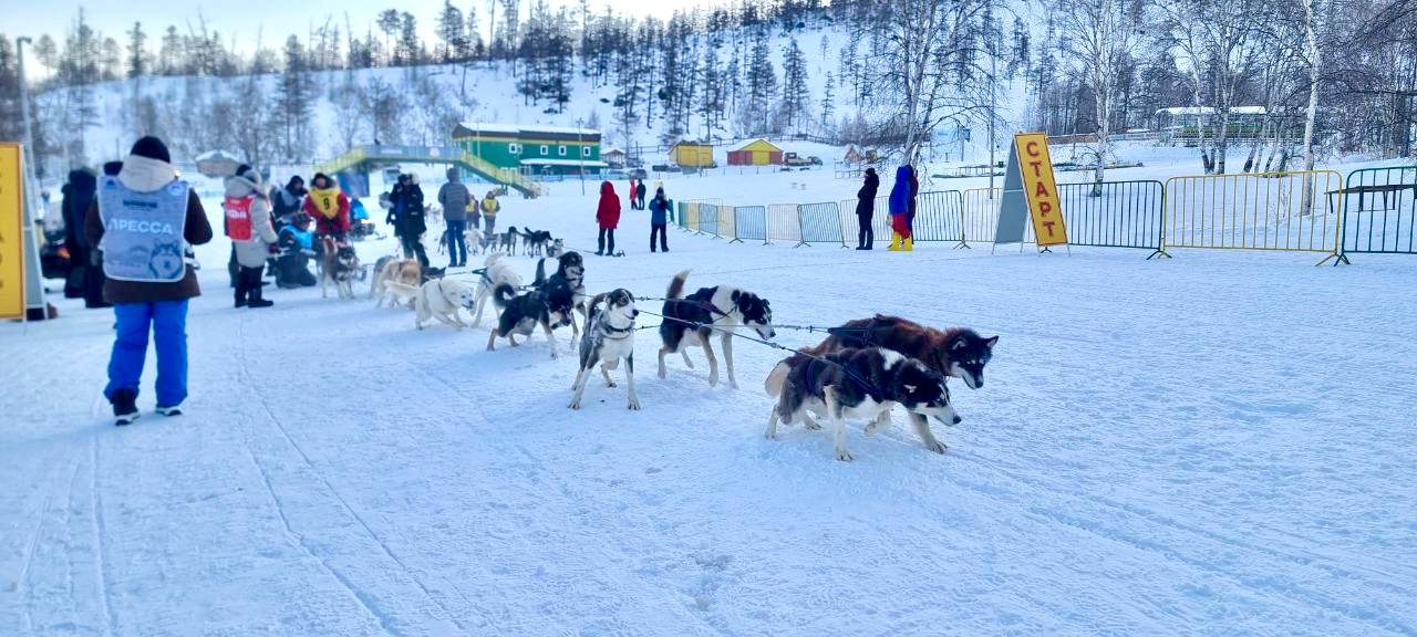 Старт легенды: в Эссо дан старт 36-й гонке «Берингия» Старт легенды: в Эссо дан старт 36-й гонке «Берингия»