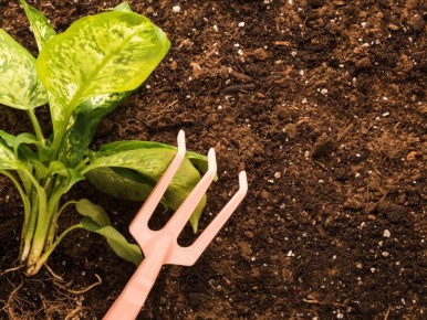 ����������� �������� ���������, ������������� �����: ��� ���������� ���������?