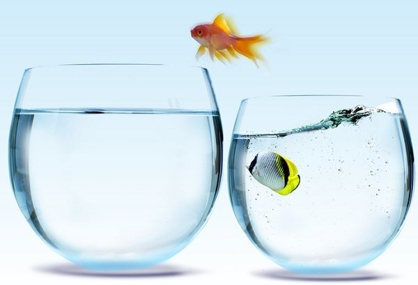 Как один месяц способен изменить вашу жизнь: пошаговое руководство