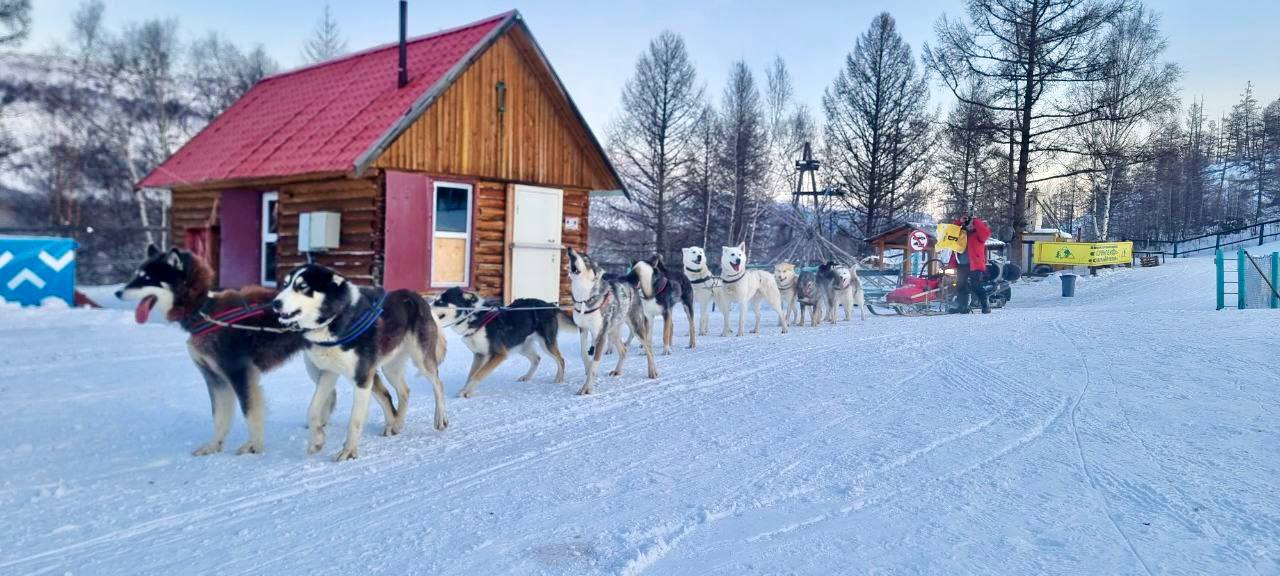Старт легенды: в Эссо дан старт 36-й гонке «Берингия» Старт легенды: в Эссо дан старт 36-й гонке «Берингия»