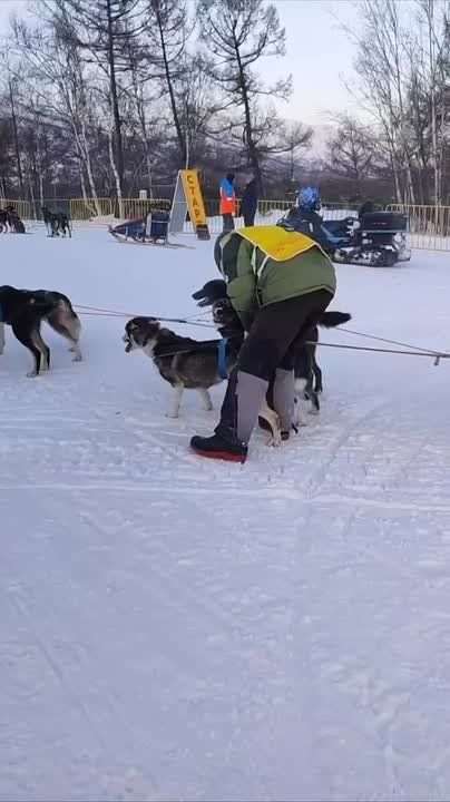 ���������� ����������: ���������� ��������� � ����!