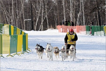 ��������� � 2026� ���������� � �. ���� �� ��������