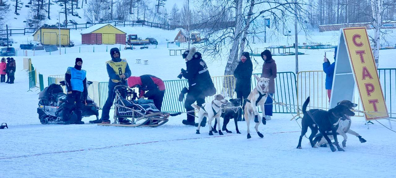 Старт легенды: в Эссо дан старт 36-й гонке «Берингия» Старт легенды: в Эссо дан старт 36-й гонке «Берингия»