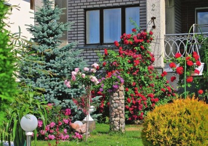 Как создать ароматный сад: идеальные растения для вашего участка