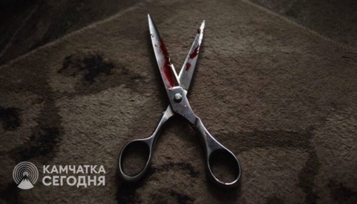 Семь ударов ножницами в спину: многодетная мать уедет в колонию