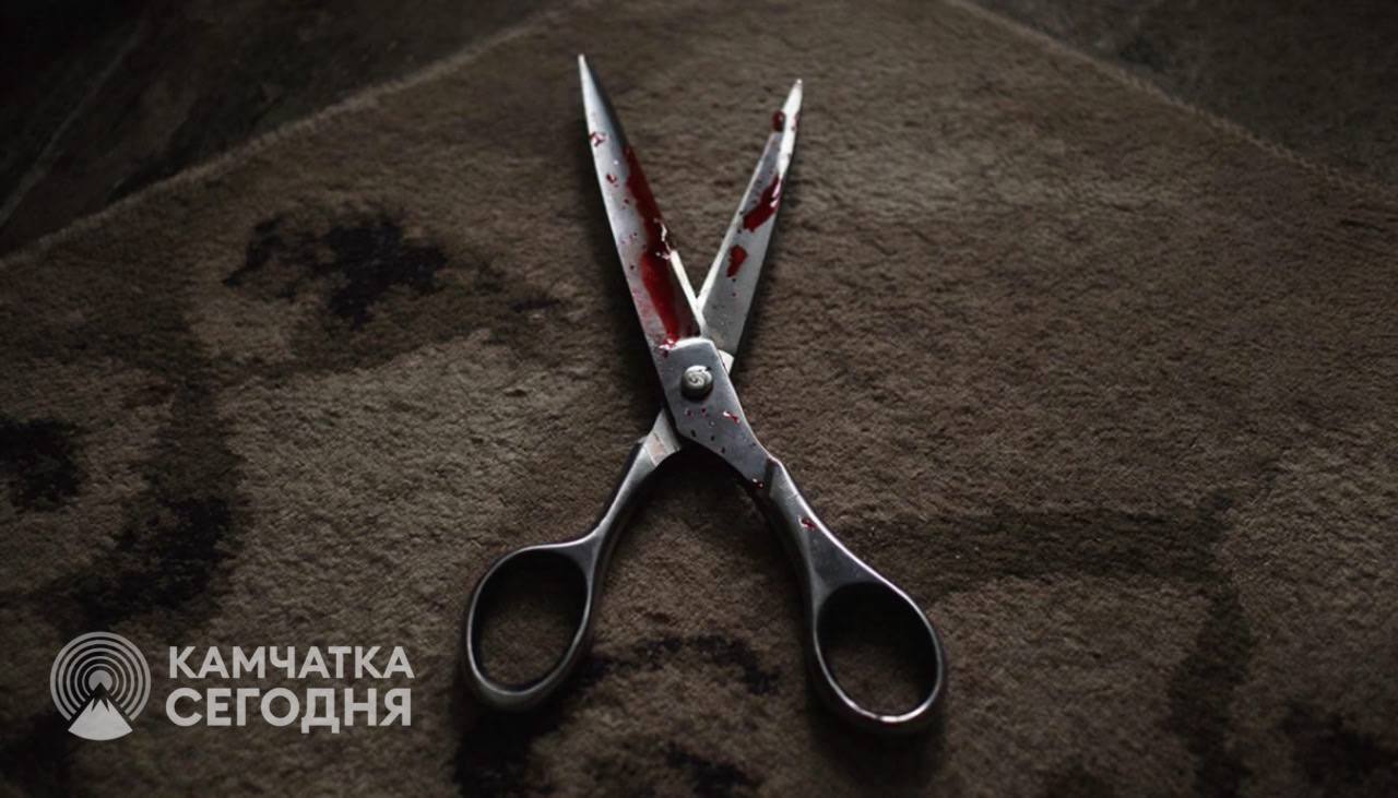 Семь ударов ножницами в спину: многодетная мать уедет в колонию