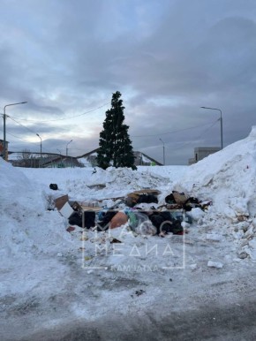 ����, �����, ����. ����� �� ����� ���������� ���������� ���������� ���� ������� �������