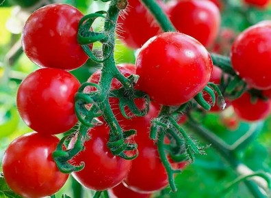 ��� ��������� �������� �������� � ����: ������ ��� ��������� ������