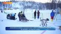 Гонка на собачьих упряжках «Берингия – 2026» стартовала в камчатском селе Эссо