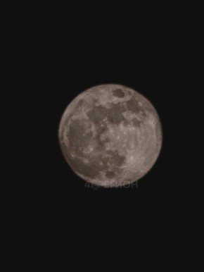 ������ ������ �������� ������ �������� ����� ��������� ������� � ��������� ���