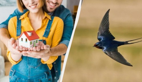 �������� �� ����� ����: ������� � ���������