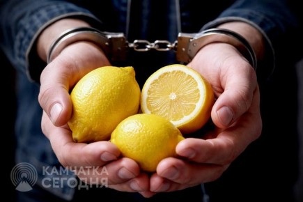 Восемь лет колонии за «два с половиной лимона»