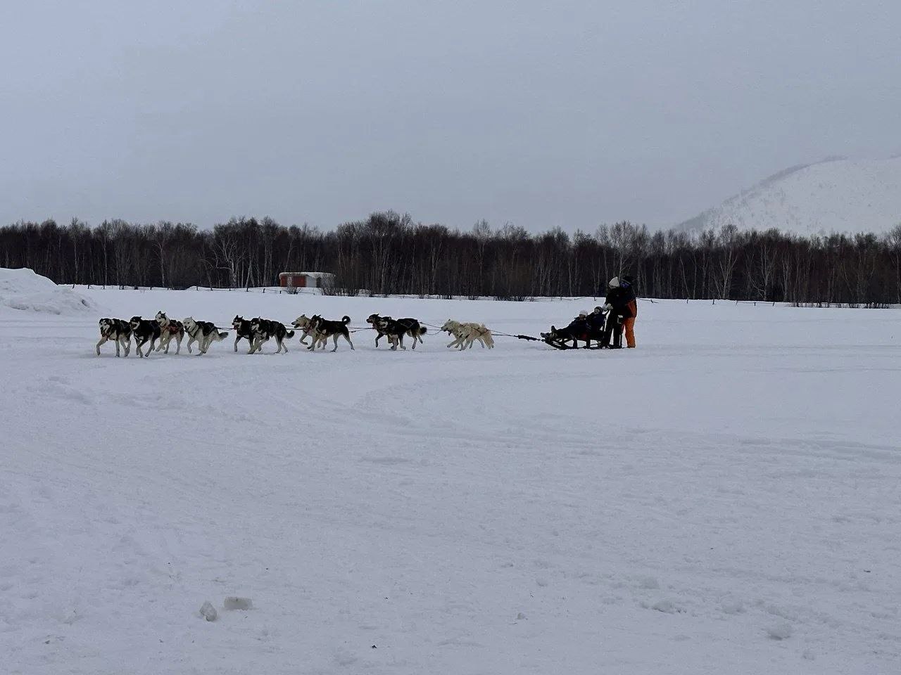 Сотрудники регионального следственного управления организовали праздничную поездку в этно-деревню для воспитанников подшефного детского дома Сотрудники регионального следственного управления организовали праздничную поездку в этно-деревню для воспитанников подшефного детского дома