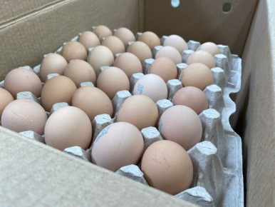 Поселок Озерновский получит финансовую помощь на доставку продуктов питания