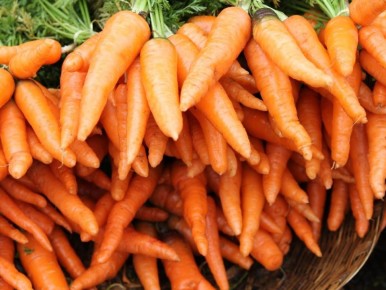 Как собрать сладкую морковь на месяц раньше с подзимним посевом