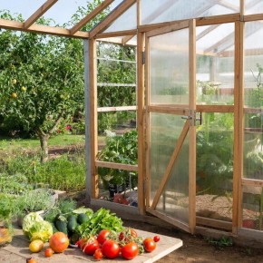 ��� ������� ����� ��������� �����: ��� ������� ���� � ����������