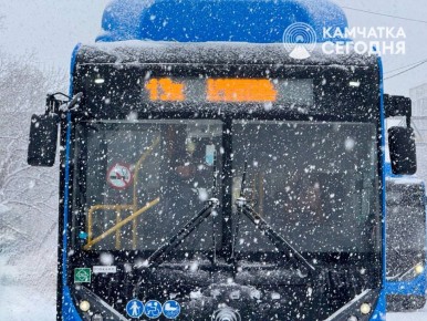 Камчатским школьникам компенсируют пропущенные автобусные поездки