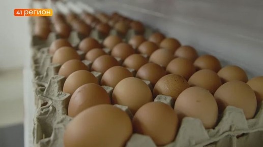 ����-������������� ������ ������� �������������� �� �������� ������� ��� ����������� ������������ �������� ����������� ��������� �������