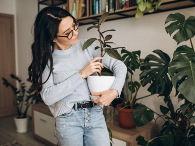 ������� ���������: ��������, ������� ������� ��� ���