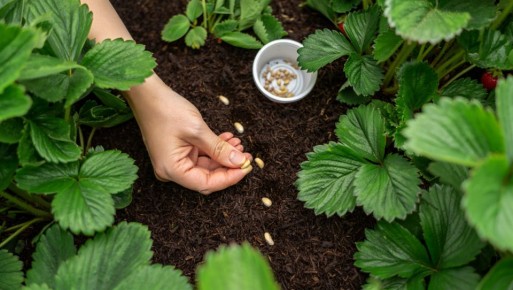 ������� ��������� ������ ��������: ��� ��������� ������������ �������� � �������