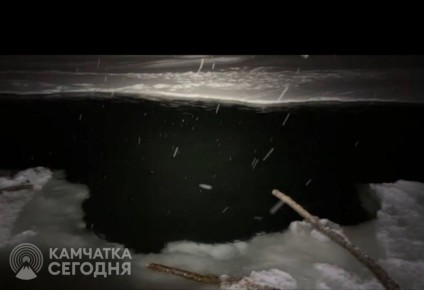 ������������� �������� �� ������� ����� �������� ��������� �� ��������